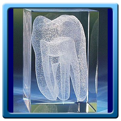 Kristallglasquader - Zahn >>jetzt in 2 Größen<<